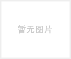 &#160;法国HPI 齿轮油泵，马达和阀